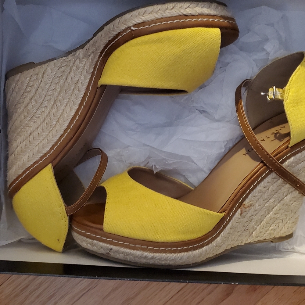 Canvas wedge
